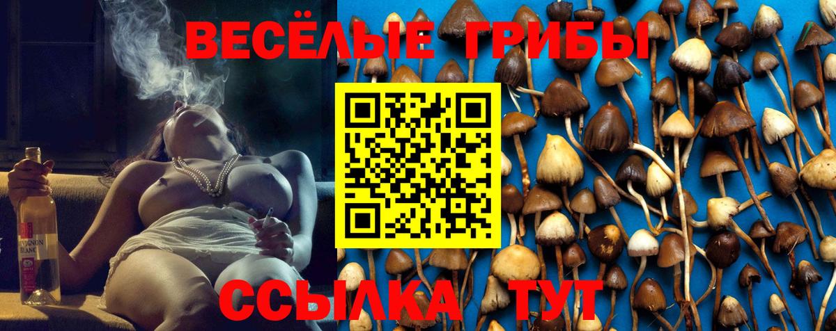 купить   Псилоцибиновые грибы мицелий  Вход с VPN  Белая Калитва 